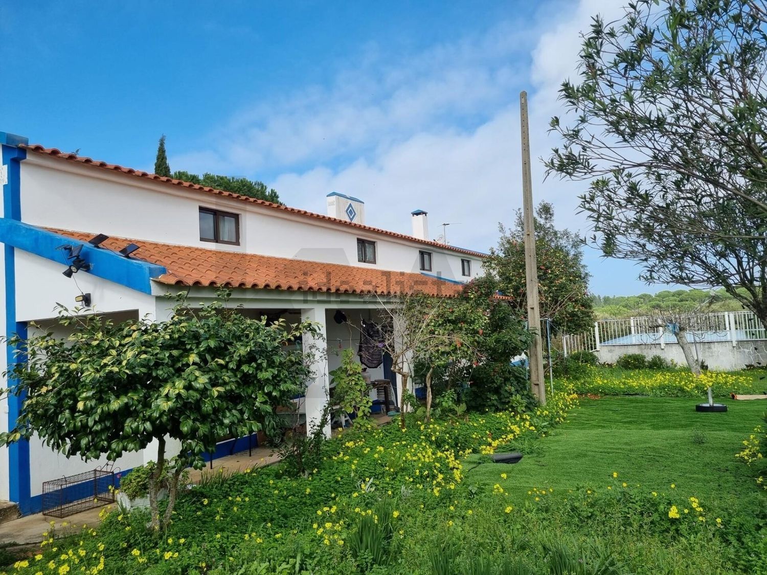 庄园出售在Rua Doutor Jacinto Nunes - 外立面