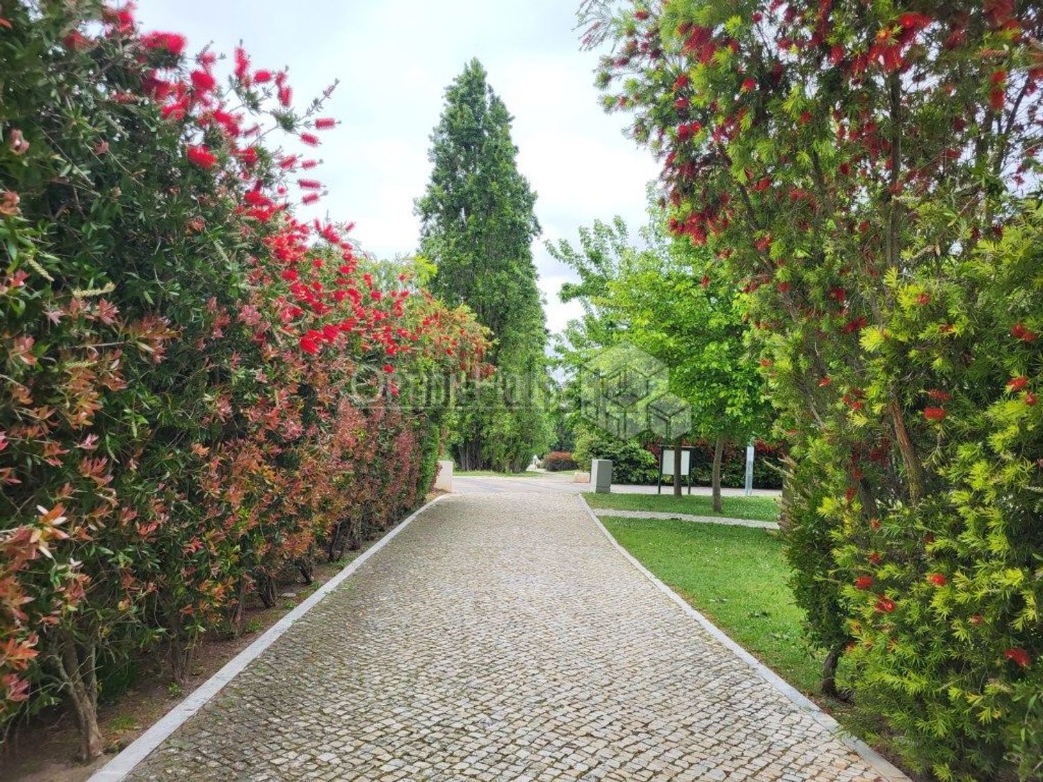 出租公寓 t1在Santa Clara - 花园