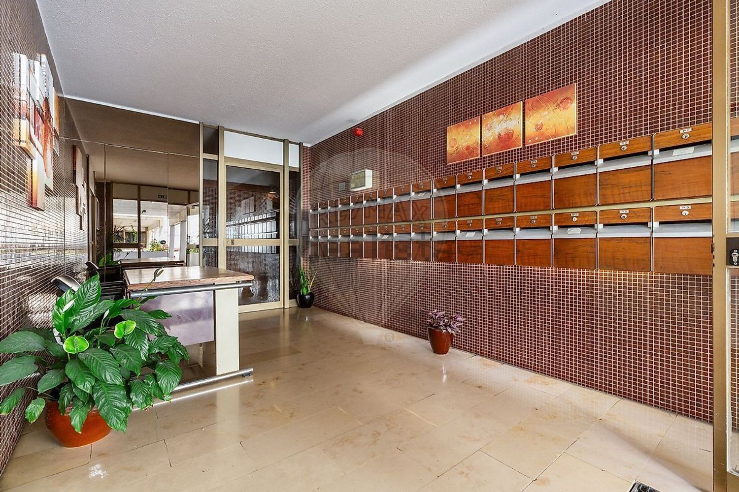 出租公寓 t2在Rua Maria Brown - 照片