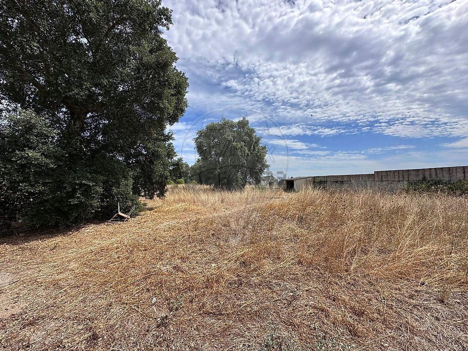 小楼房或独栋别墅出售在Rua do Sol - 花园