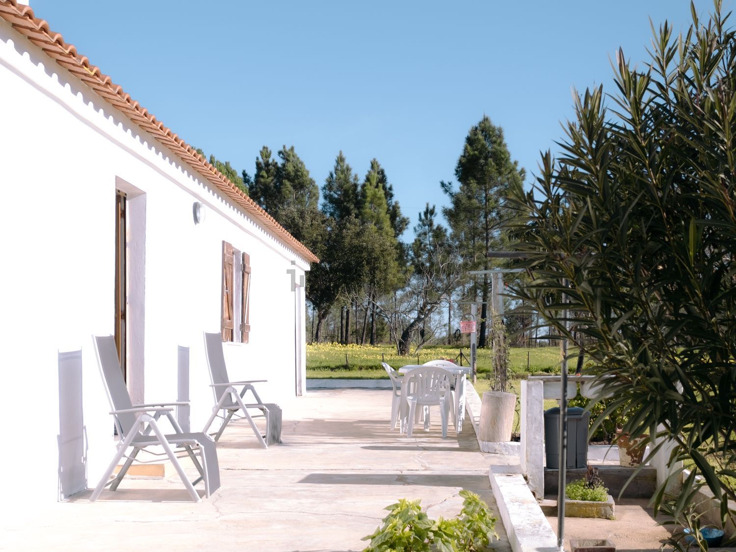 小楼房或独栋别墅出售Monte Forinho - 外立面