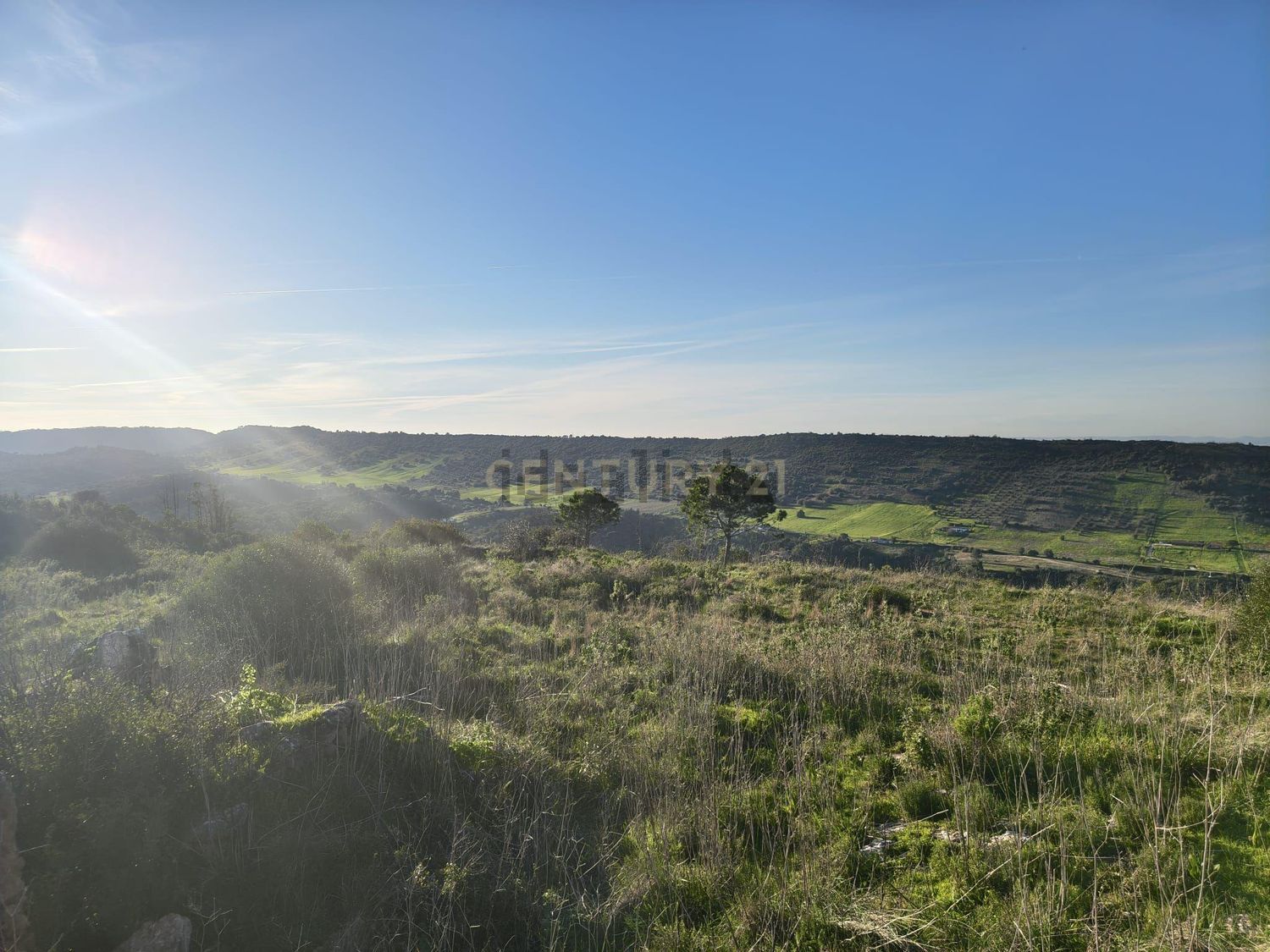 庄园出售Cm1052 s/n - 视线