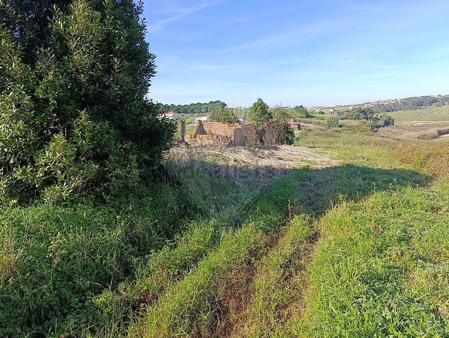 小楼房或独栋别墅出售在Rua Almeida - 花园