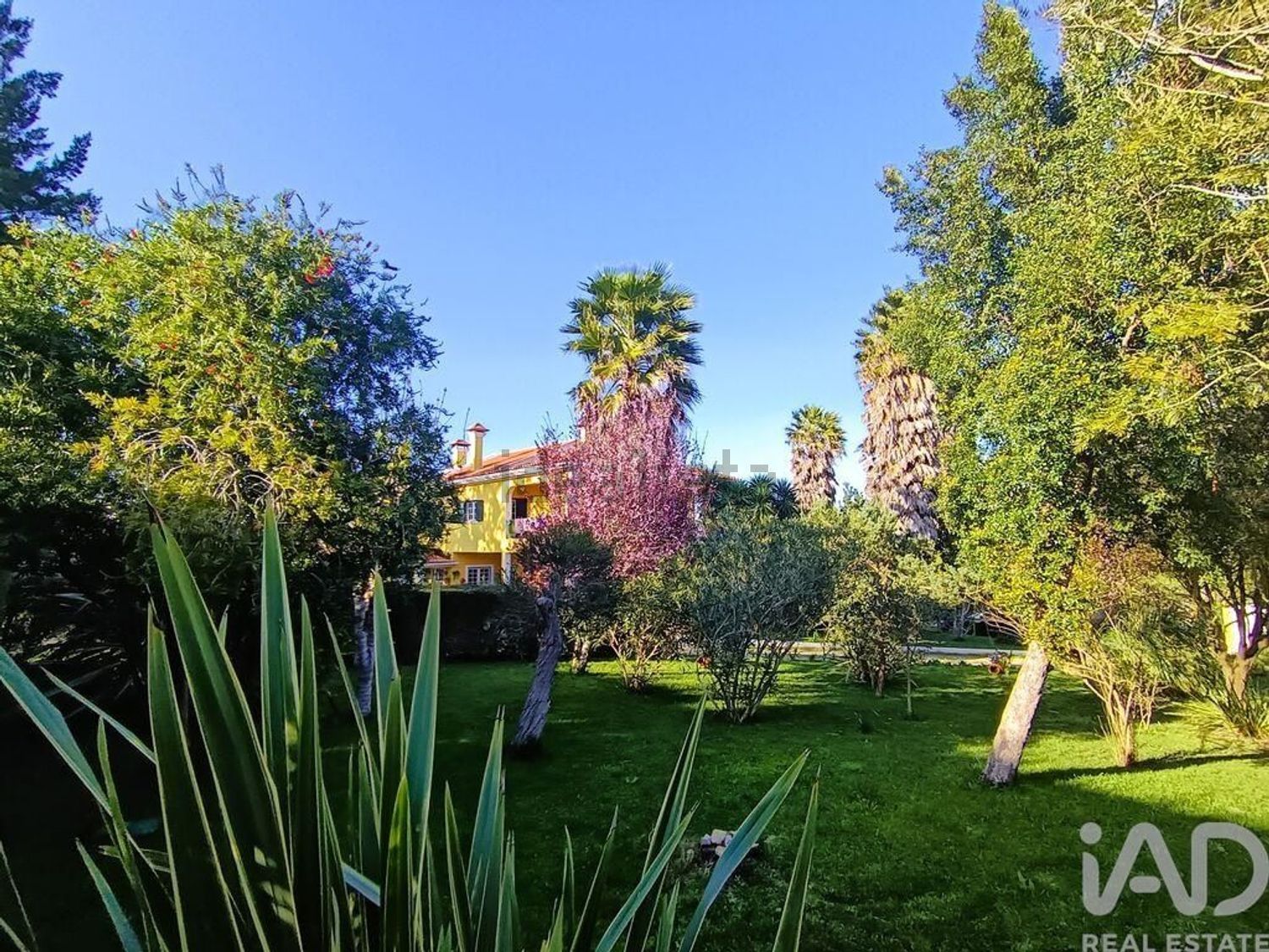 小楼房或独栋别墅出售在Castanheira do Ribatejo e Cachoeiras - 周边