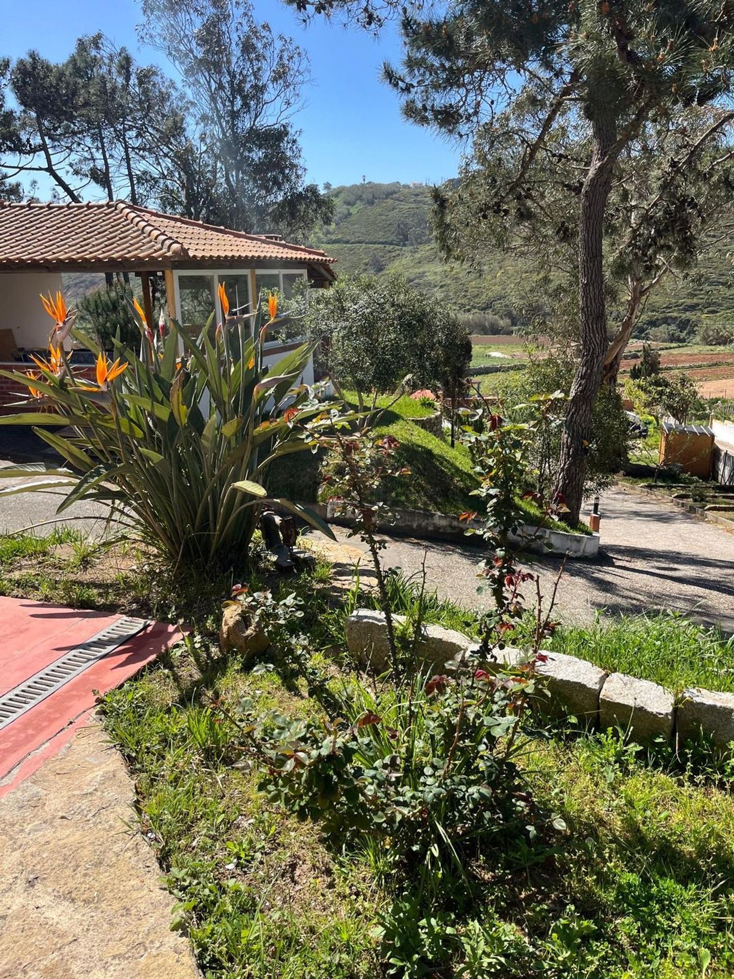 出租房间在Rua Ribeira do Barril, 18 - 花园