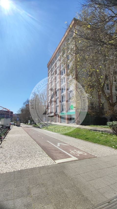 出租公寓 t3在Centro Histórico - Quinta da Luz