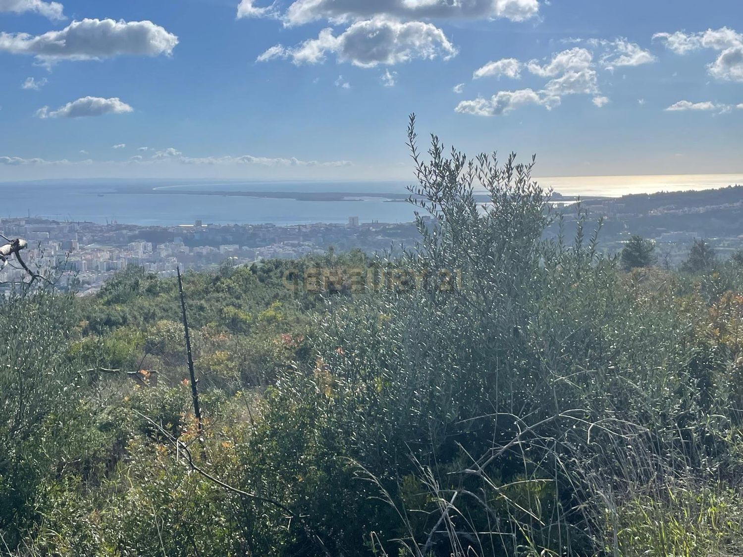 庄园出售Cm1052 s/n - 视线