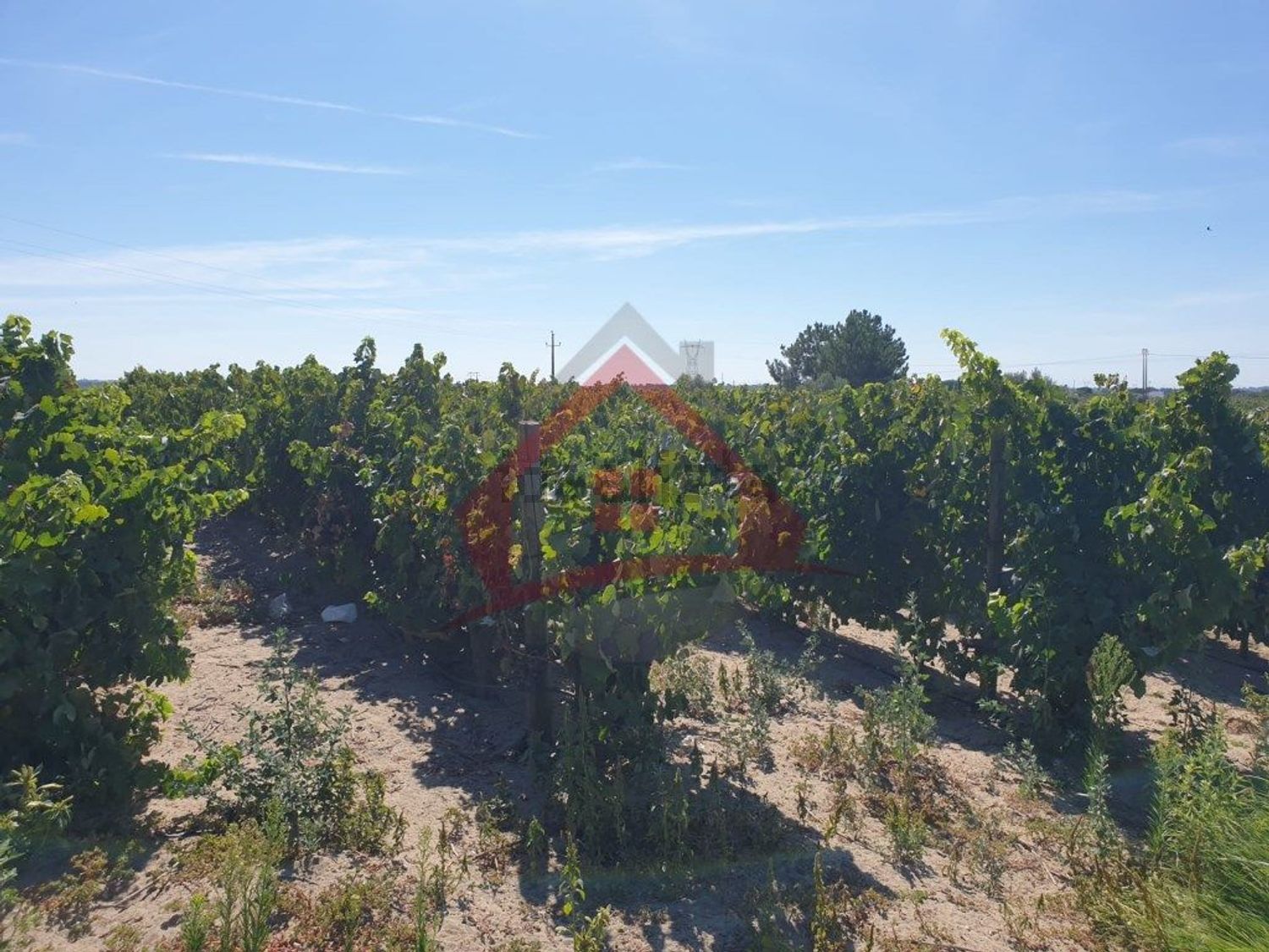 庄园出售在Largo da Fonte - 视线