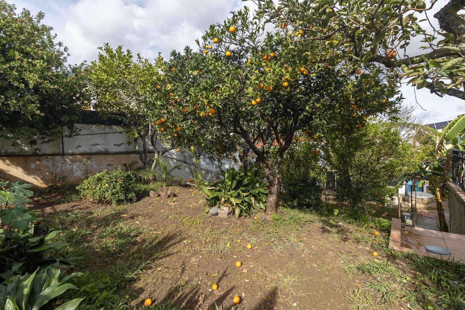 小楼房或独栋别墅出售在Avenida Padre Nabeto - 花园