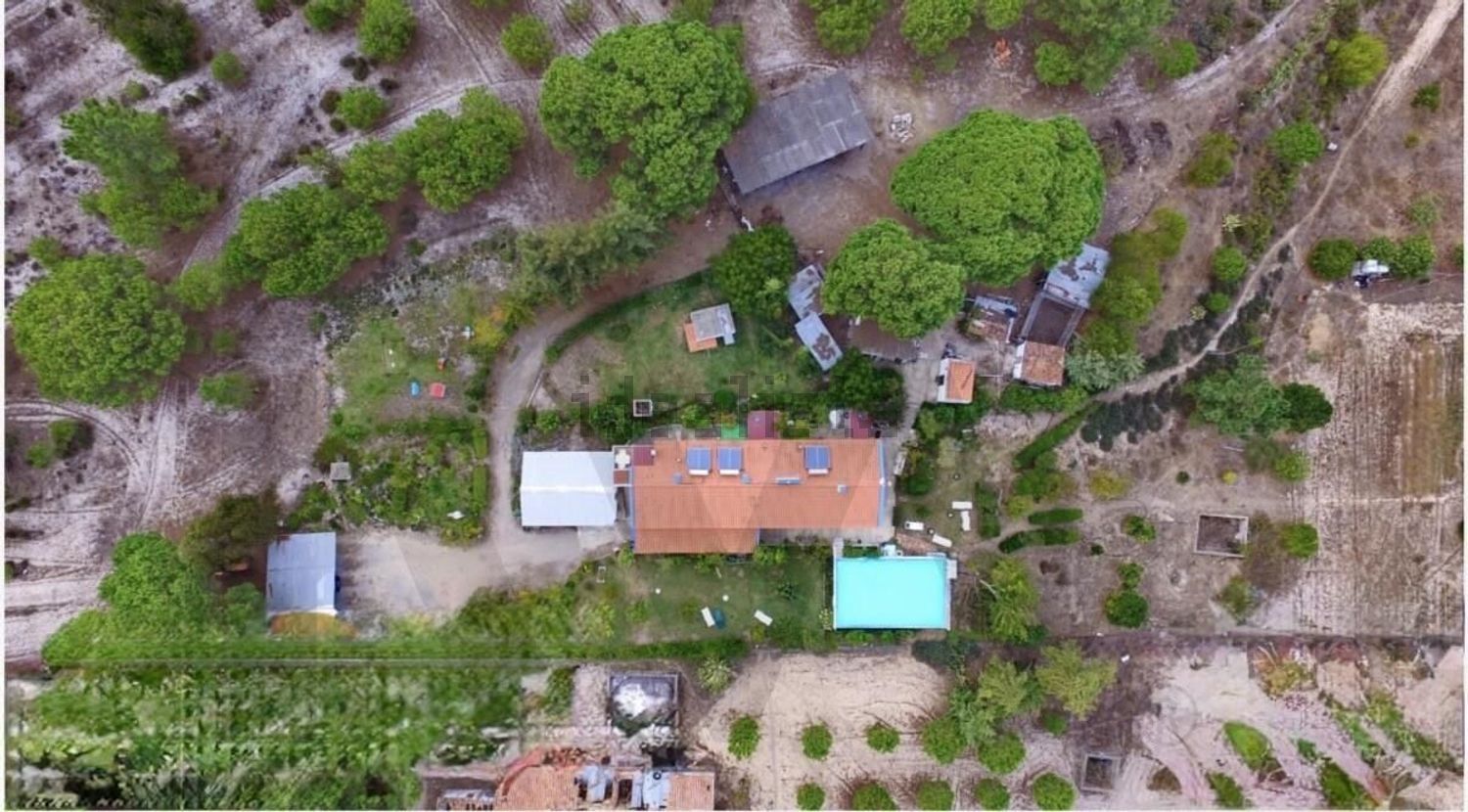 庄园出售在Rua Doutor Jacinto Nunes - 照片