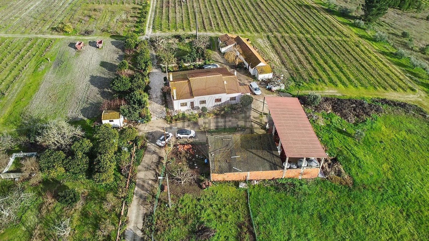 庄园出售在Poceirão e Marateca - 照片