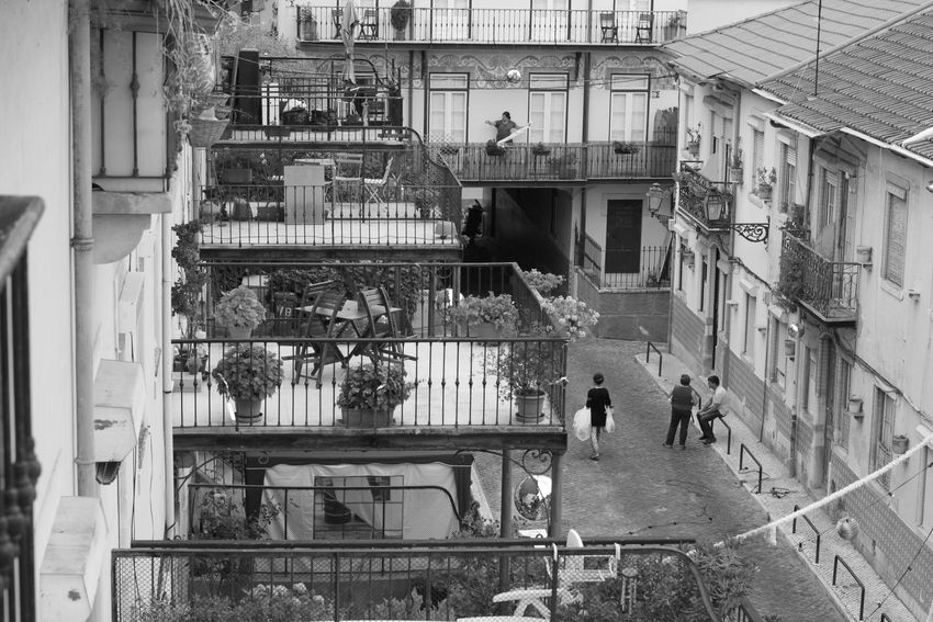 出租公寓 t2Vila Berta, 5