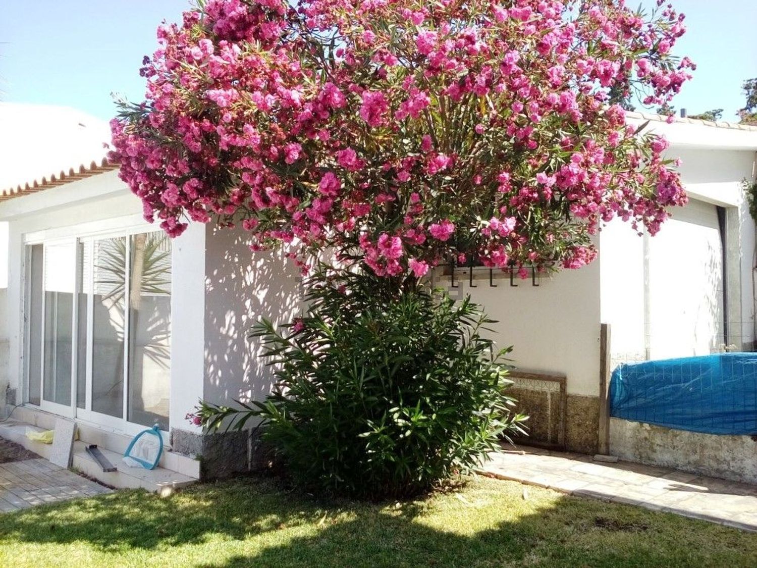 出租小楼房或独栋别墅在Centro de Cascais - 花园