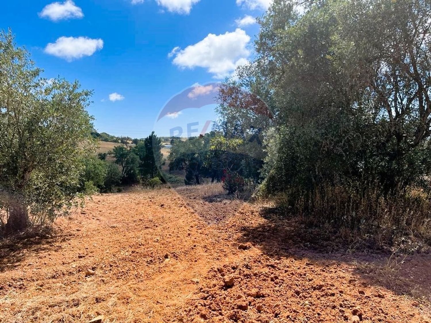 庄园出售在Abela - 视线