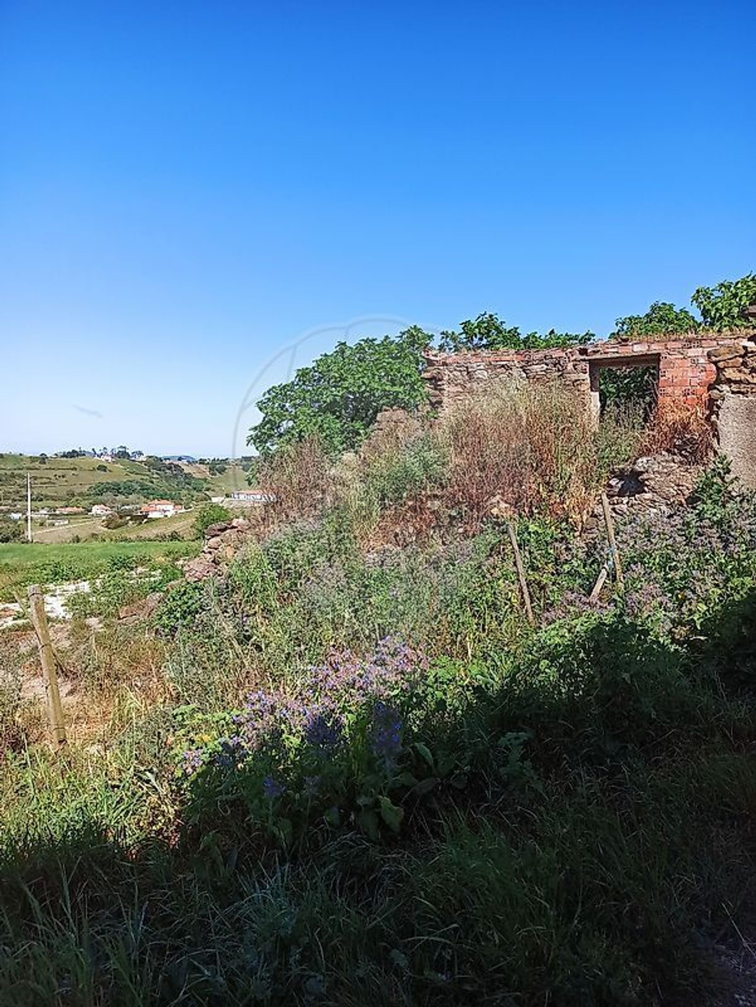 小楼房或独栋别墅出售在Encarnação - 花园