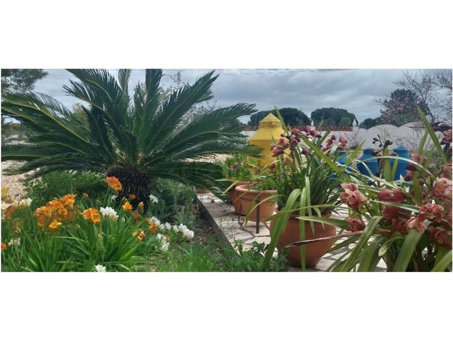 出租小楼房或独栋别墅在Grândola e Santa Margarida da Serra - 花园