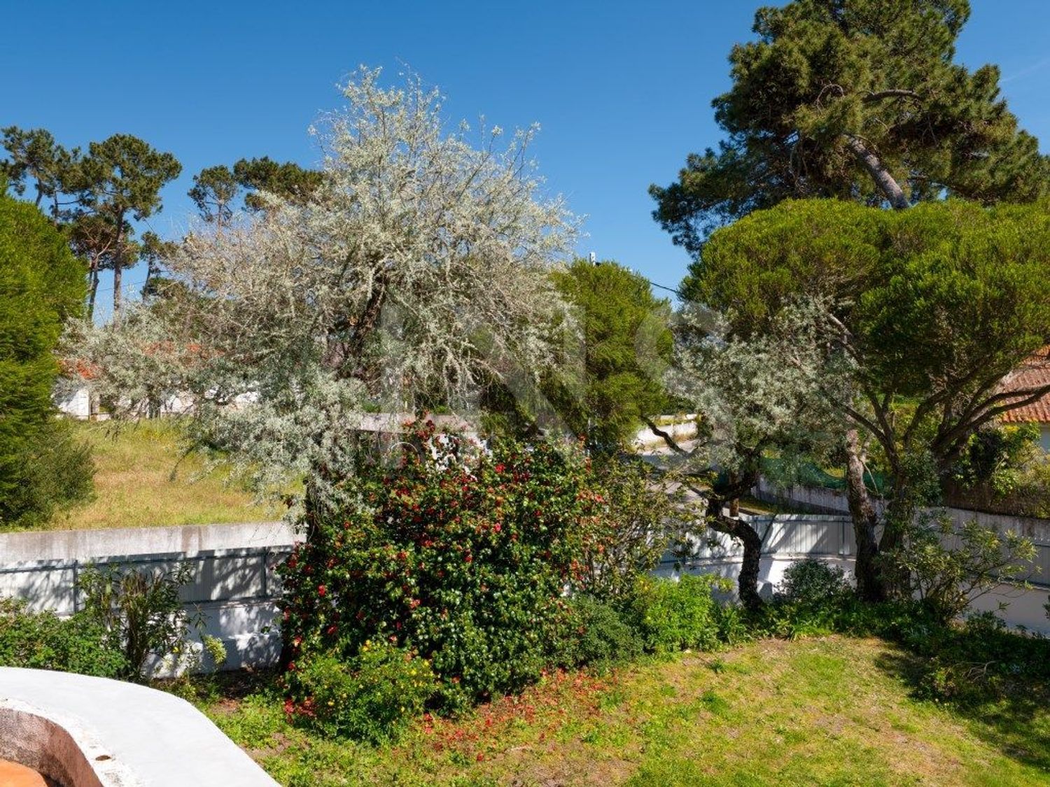 小楼房或独栋别墅出售在Rua 28 de Setembro - 花园