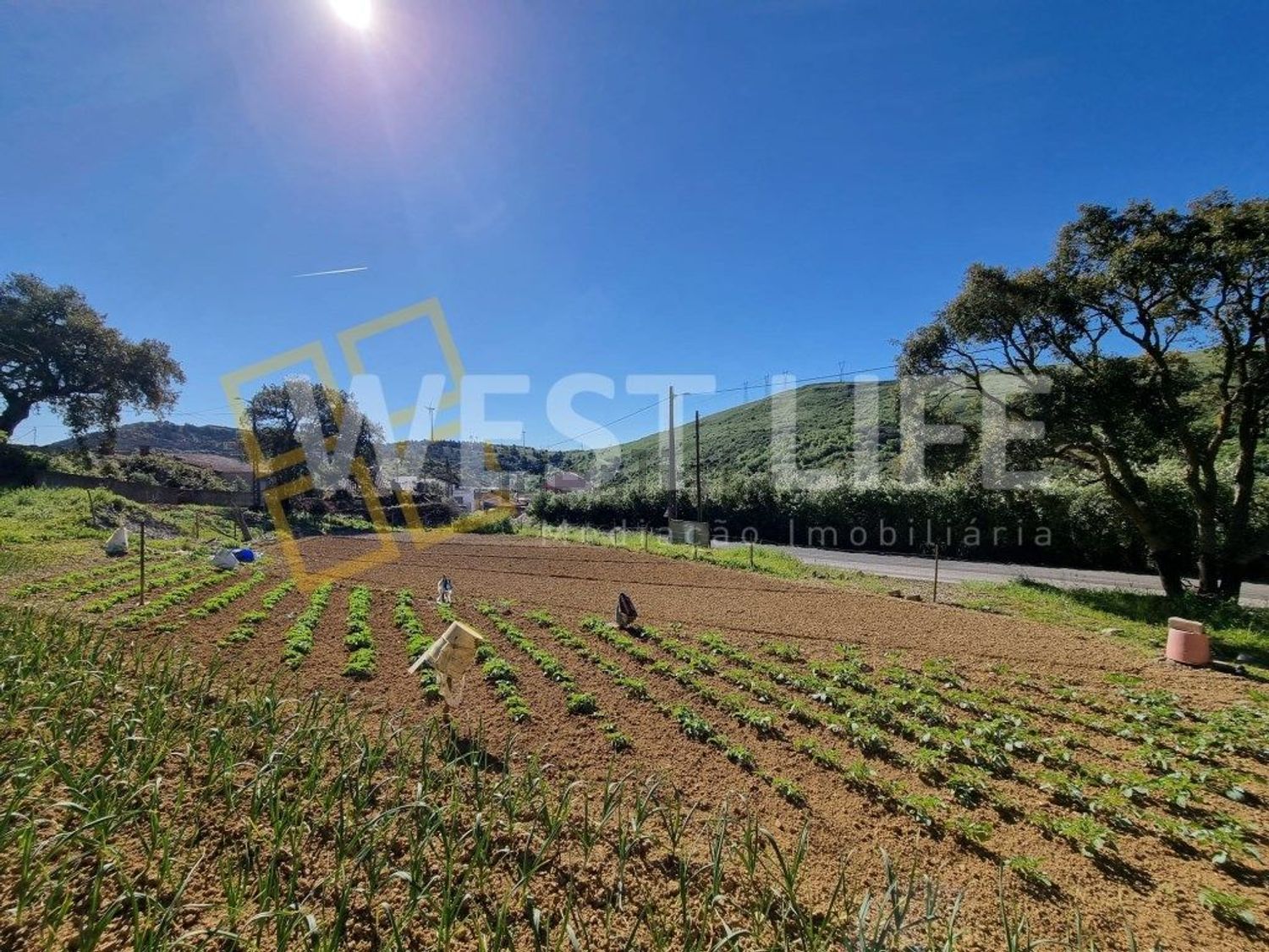 小楼房或独栋别墅出售在Avenida Catarina Eufémia - 视线