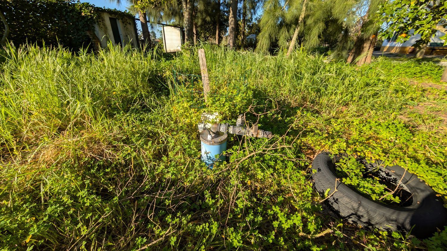 庄园出售António Aleixo, 204 2985-156, 204 - 花园