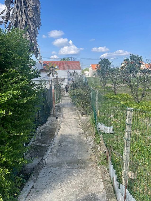 小楼房或独栋别墅出售N4