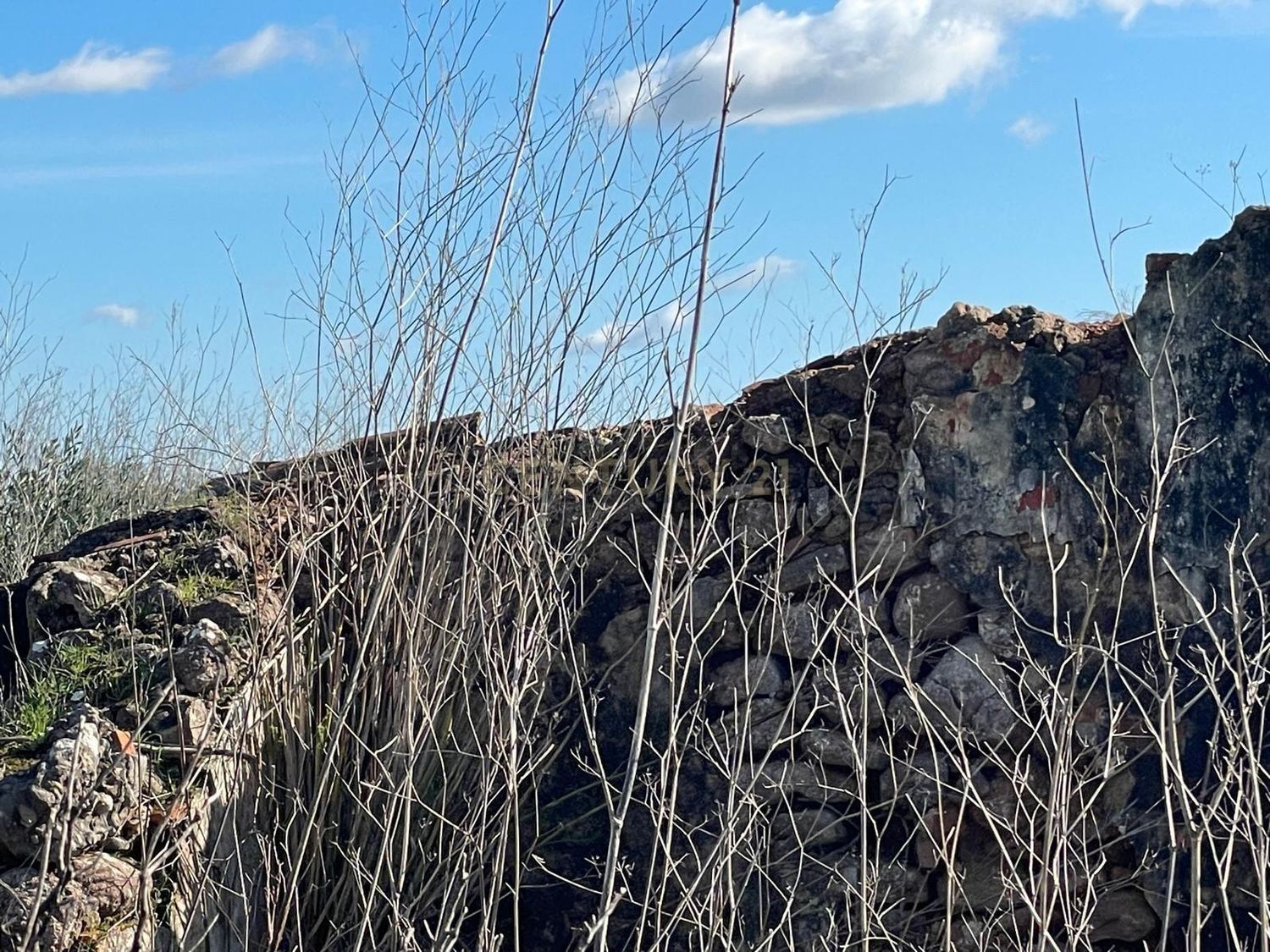 庄园出售Cm1052 s/n - 照片