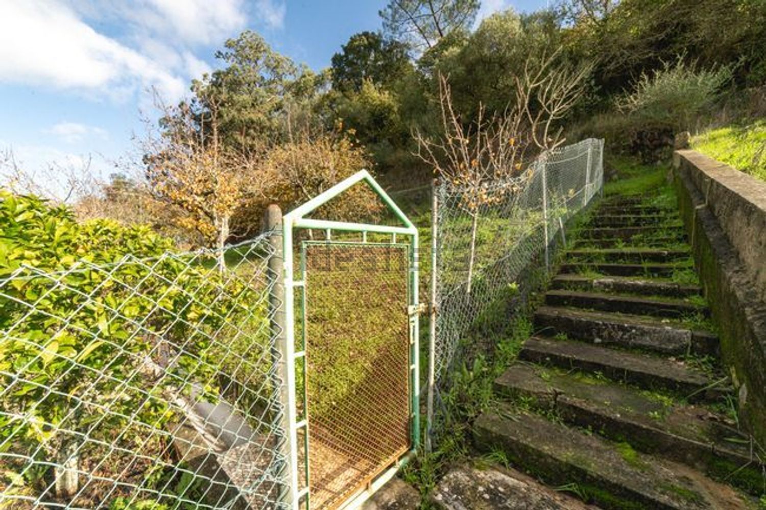 小楼房或独栋别墅出售在Travessa Linhas de Torres - 花园