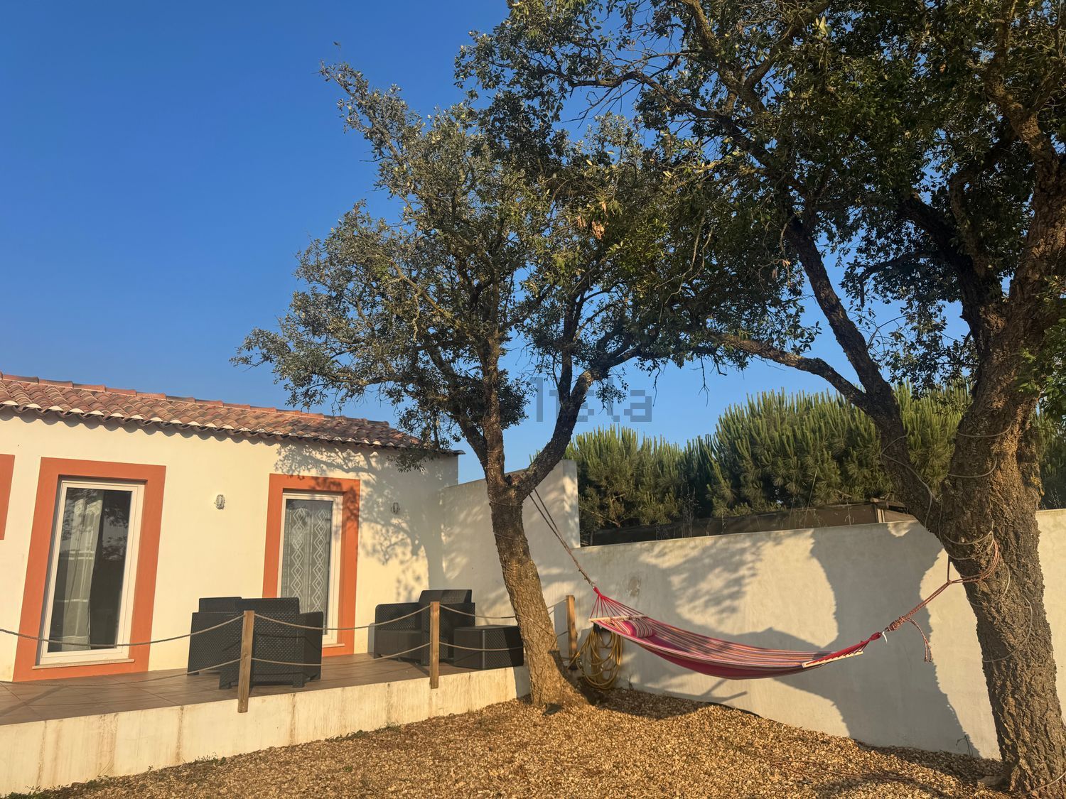 农庄出售在Rua da Pouca Farinha s/n - 院子