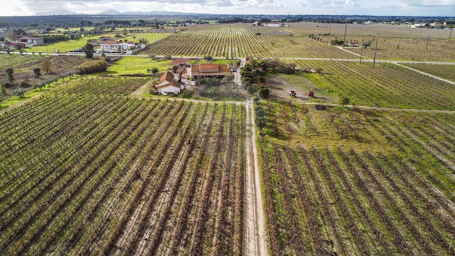 庄园出售在Poceirão e Marateca - 照片