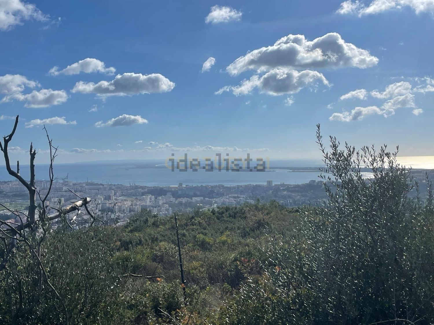 庄园出售Cm1052 s/n - 视线