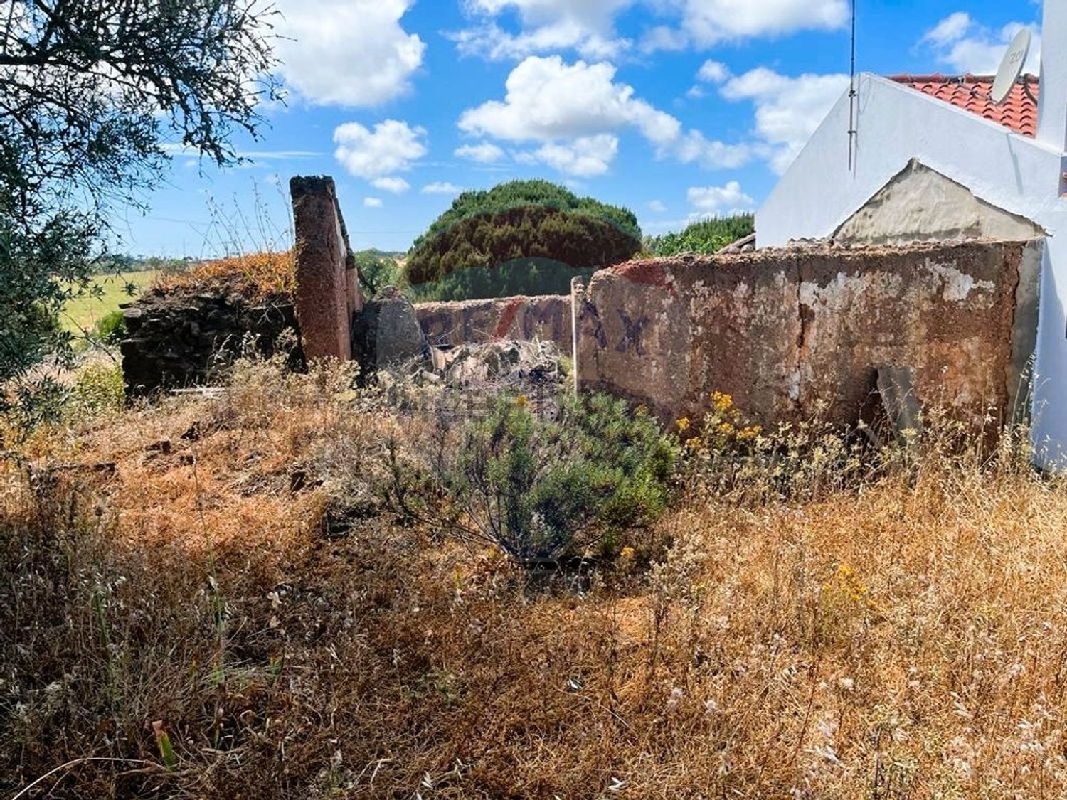 庄园出售在Abela - 照片