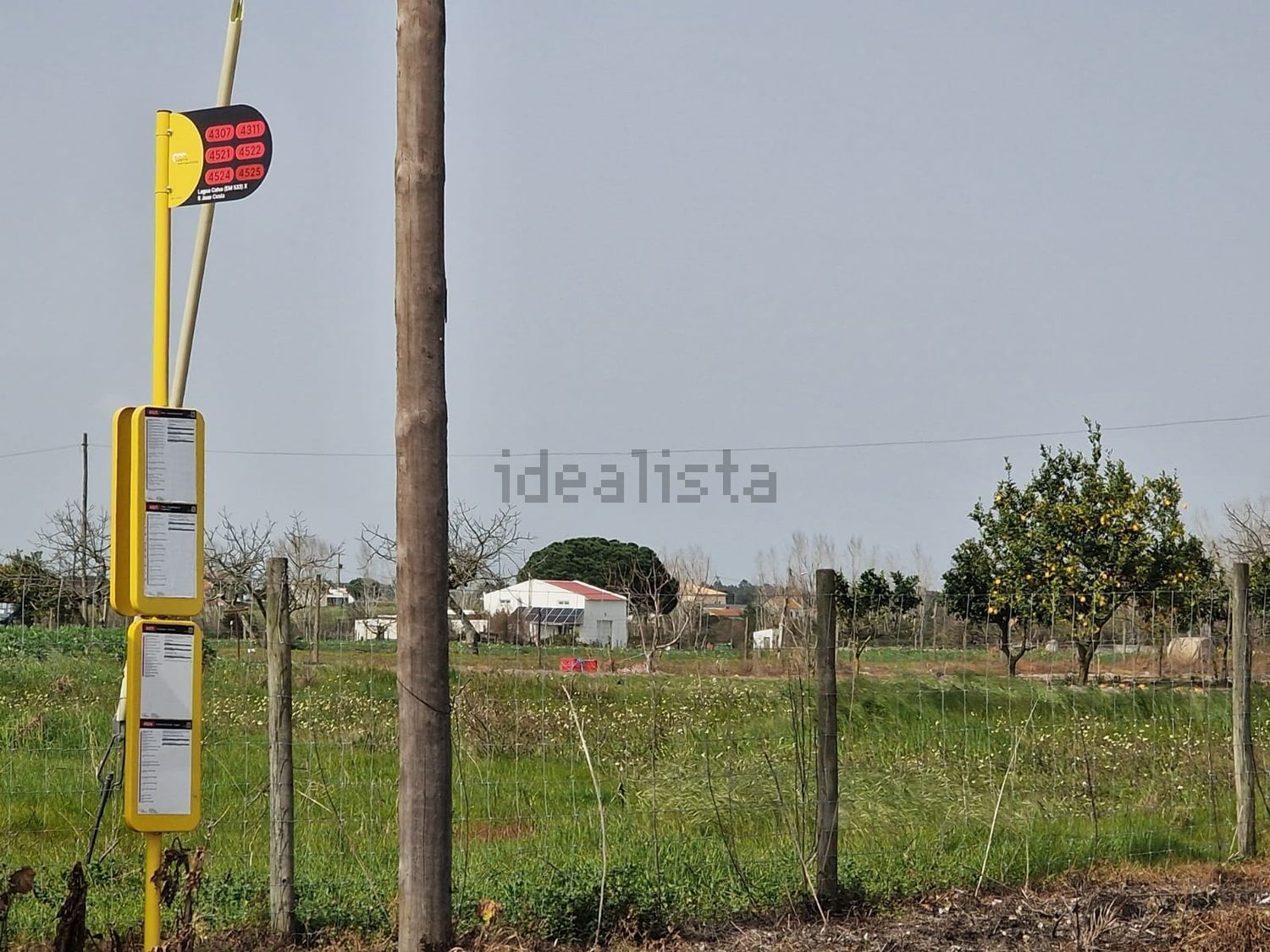 庄园出售在Poceirão e Marateca - 照片