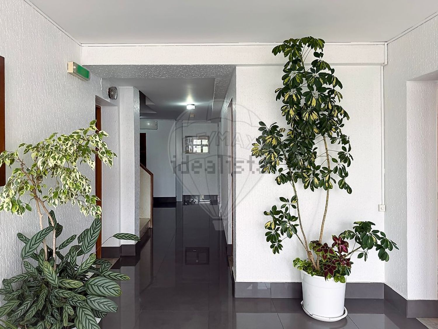 出租公寓 t2在Rua Ary dos Santos - 照片