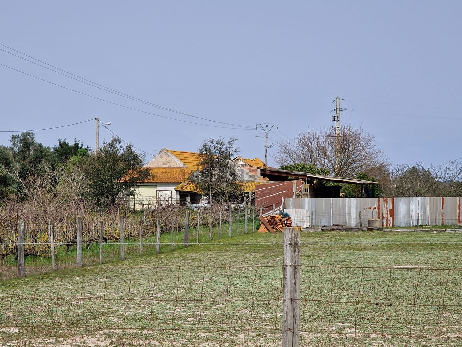 庄园出售在Poceirão e Marateca - 花园