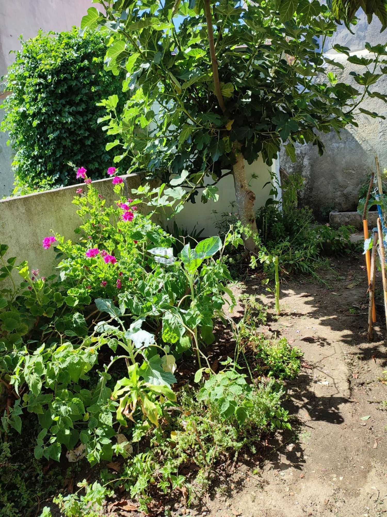公寓 t1出售在Avenida do Cristo Rei, 26 a - 花园