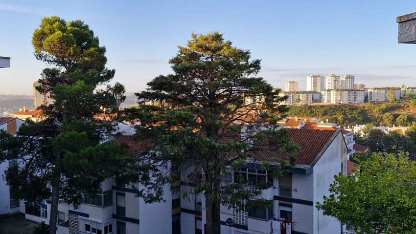 出租房间在Praceta Francisco Alves Taborda, 10