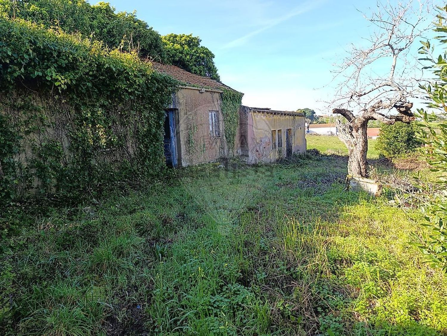 小楼房或独栋别墅出售在Rua Almeida - 花园