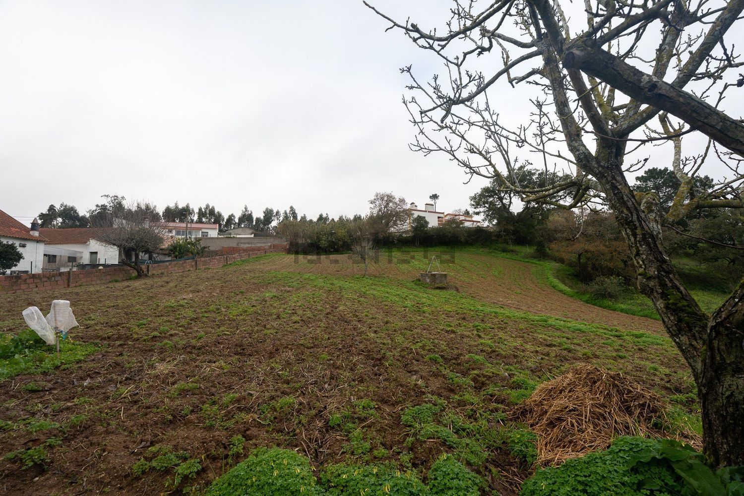 小楼房或独栋别墅出售在Rua Carreira da Corsa, 28 - 花园