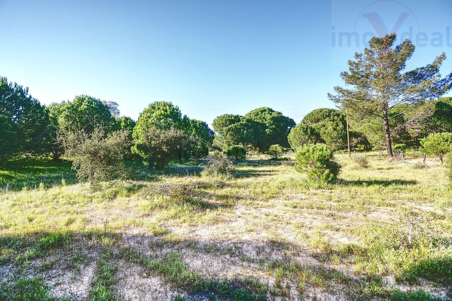 庄园出售在Melides - 花园