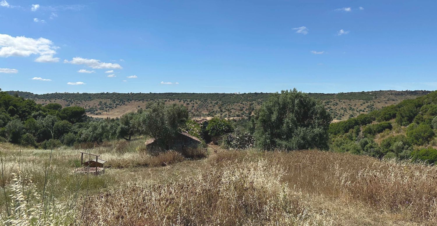 庄园出售在Estrada do Vale dos Barris - 视线