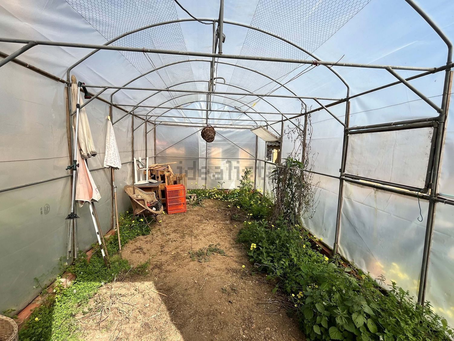 庄园出售在São Pedro de Penaferrim - 花园