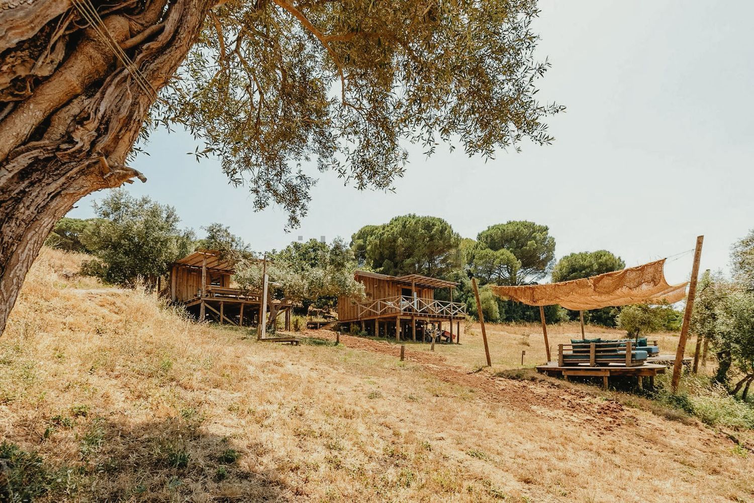 庄园出售在Estrada do Vale dos Barris - 花园