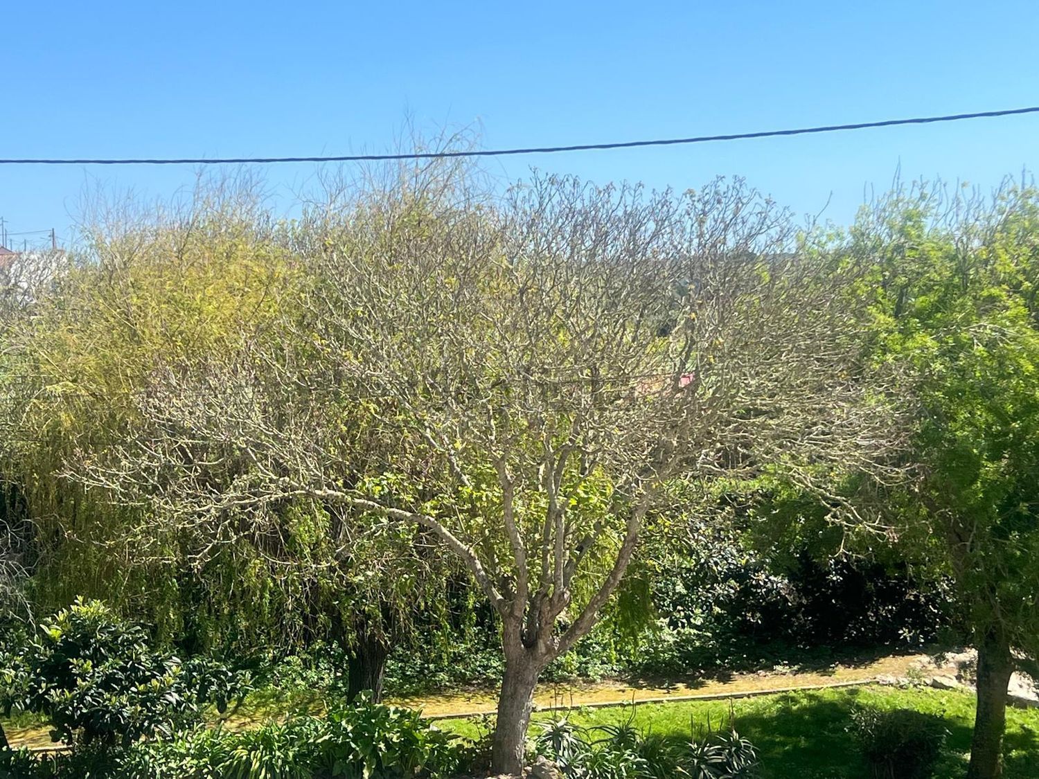 出租小镇楼房在Rua do Alto do Polido, 4 - 视线