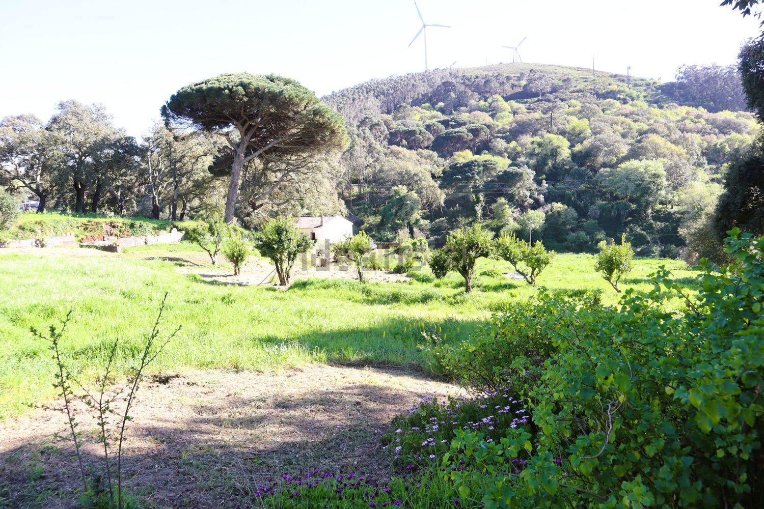 小楼房或独栋别墅出售在Estrada de Santo Estevão - 花园