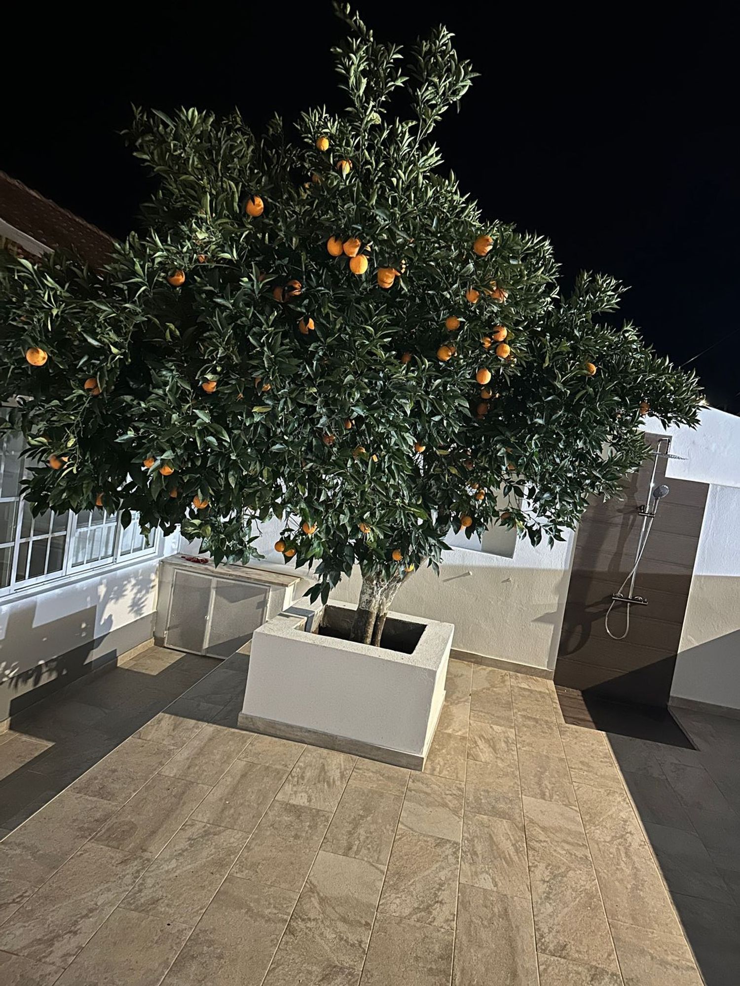 双拼别墅出售在Rua 1 de Maio, 15 - 花园