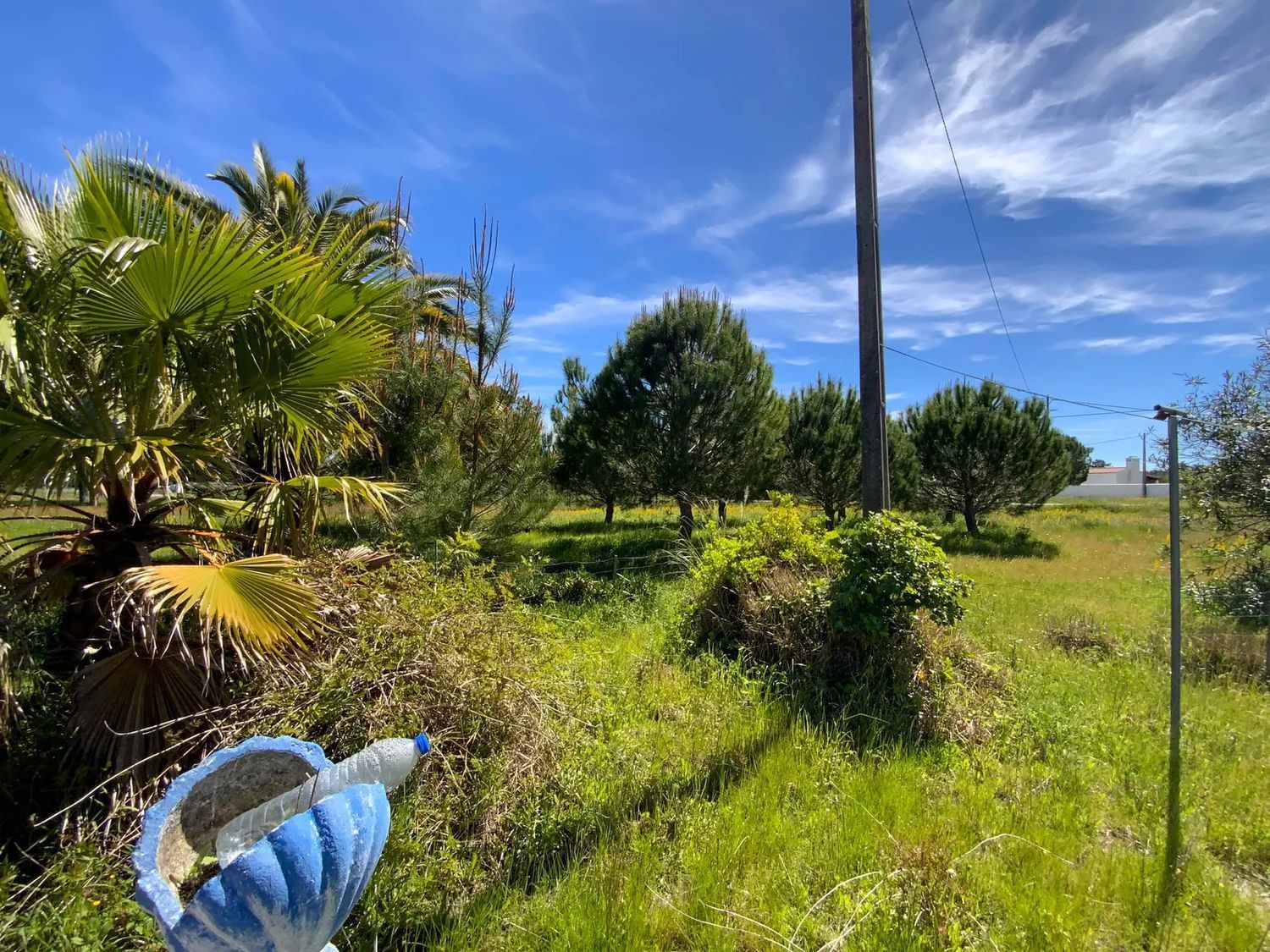 小楼房或独栋别墅出售Grandola - 花园