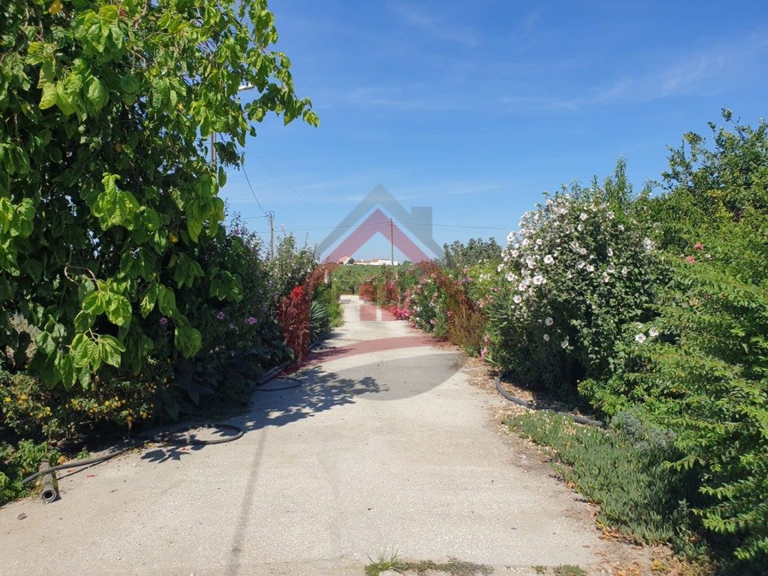 庄园出售在Largo da Fonte - 花园