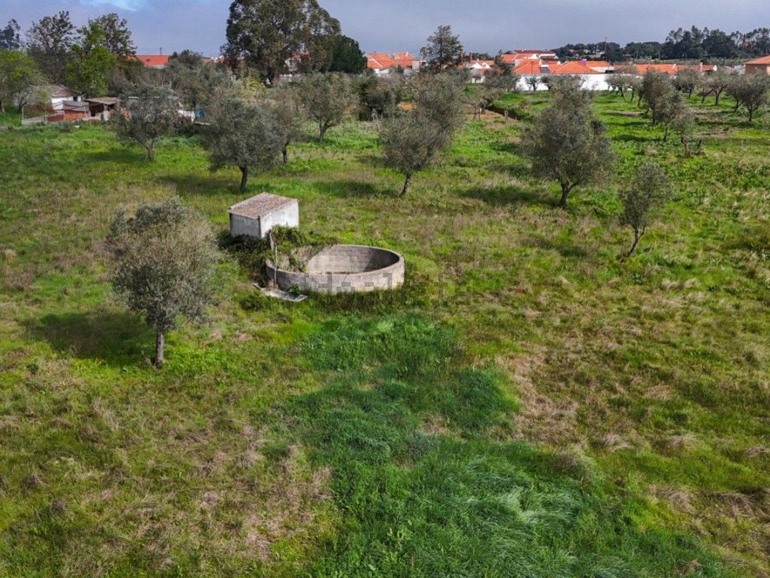 庄园出售在Rua José Dias Coelho, 9 - 花园