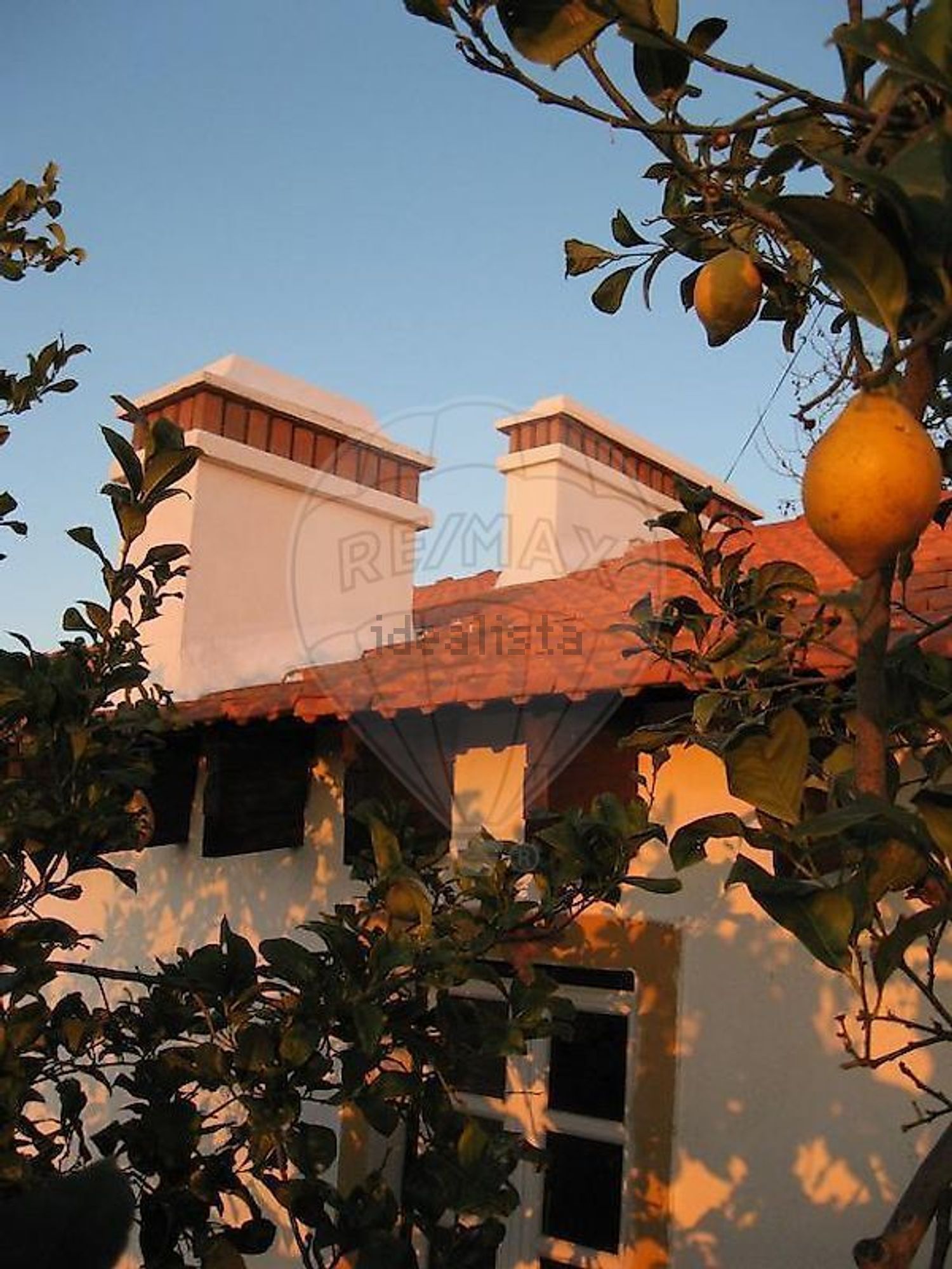 庄园出售在Rua António Roldão - 外立面