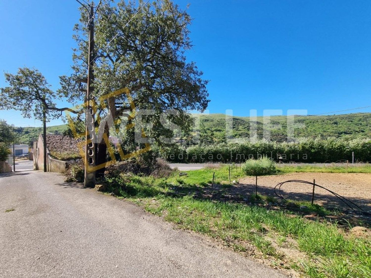 小楼房或独栋别墅出售在Avenida Catarina Eufémia - 花园