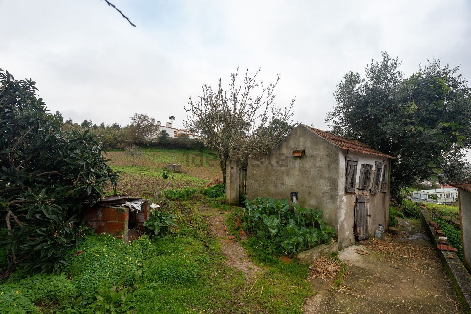 小楼房或独栋别墅出售在Rua Carreira da Corsa, 28 - 花园